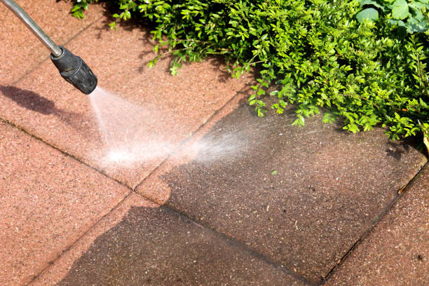 Best Deck Cleaning Services  in Tashua, CT